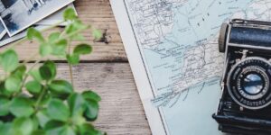 camera, vintage, map, plant, flat lay, nature, retro, photographs, old, old camera, vintage camera, photography